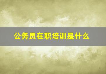 公务员在职培训是什么