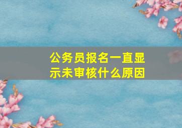 公务员报名一直显示未审核什么原因