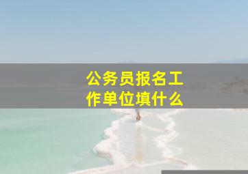 公务员报名工作单位填什么