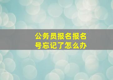 公务员报名报名号忘记了怎么办