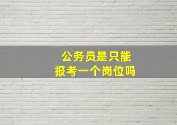 公务员是只能报考一个岗位吗