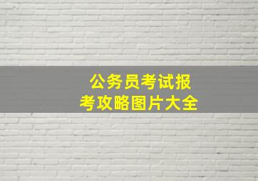 公务员考试报考攻略图片大全