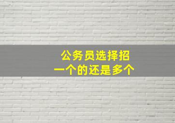 公务员选择招一个的还是多个