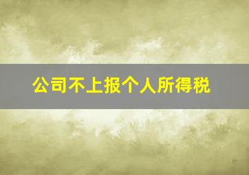 公司不上报个人所得税