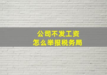 公司不发工资怎么举报税务局