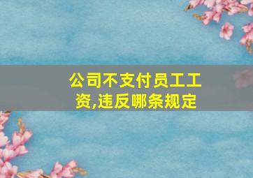 公司不支付员工工资,违反哪条规定