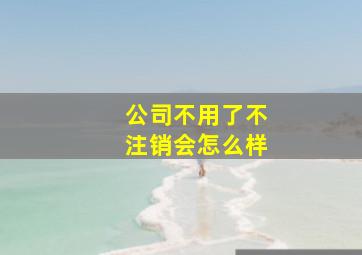 公司不用了不注销会怎么样