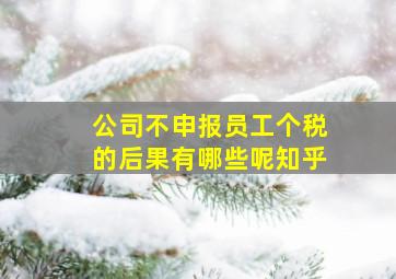 公司不申报员工个税的后果有哪些呢知乎