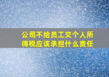 公司不给员工交个人所得税应该承担什么责任