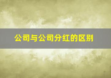 公司与公司分红的区别