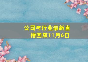 公司与行业最新直播回放11月6日