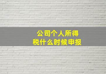 公司个人所得税什么时候申报