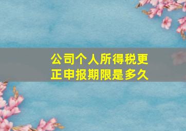 公司个人所得税更正申报期限是多久