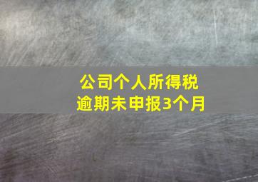 公司个人所得税逾期未申报3个月