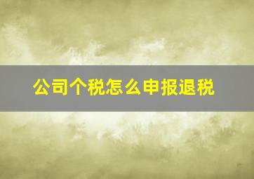 公司个税怎么申报退税