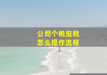 公司个税报税怎么操作流程