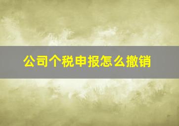 公司个税申报怎么撤销