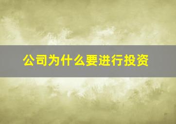 公司为什么要进行投资