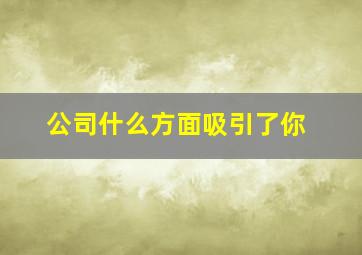 公司什么方面吸引了你