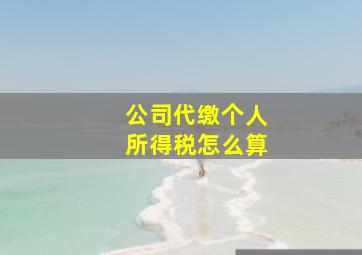 公司代缴个人所得税怎么算