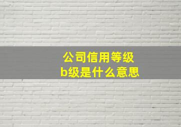 公司信用等级b级是什么意思