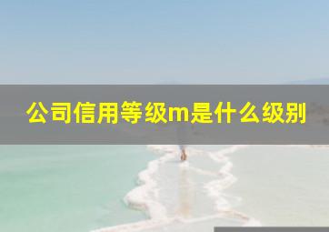 公司信用等级m是什么级别