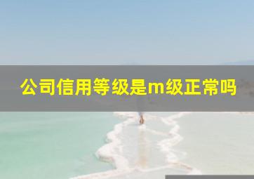 公司信用等级是m级正常吗