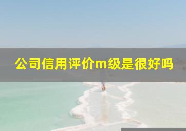 公司信用评价m级是很好吗