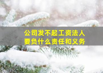 公司发不起工资法人要负什么责任和义务