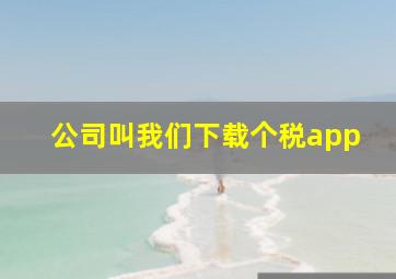 公司叫我们下载个税app