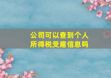 公司可以查到个人所得税受雇信息吗