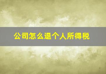 公司怎么退个人所得税