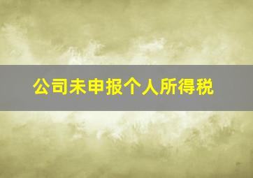 公司未申报个人所得税