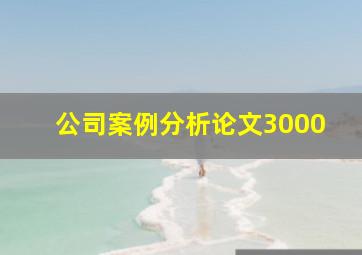 公司案例分析论文3000