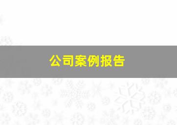 公司案例报告