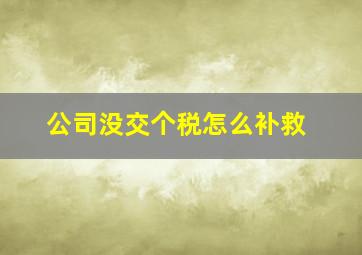 公司没交个税怎么补救