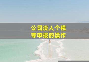 公司没人个税零申报的操作