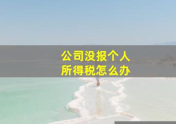 公司没报个人所得税怎么办