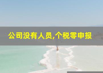 公司没有人员,个税零申报