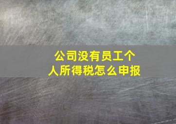 公司没有员工个人所得税怎么申报