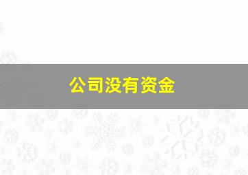 公司没有资金