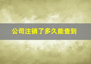 公司注销了多久能查到