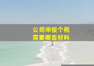 公司申报个税需要哪些材料