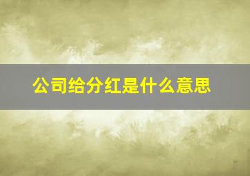 公司给分红是什么意思