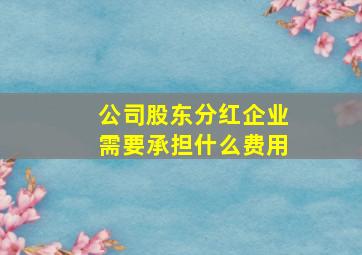 公司股东分红企业需要承担什么费用