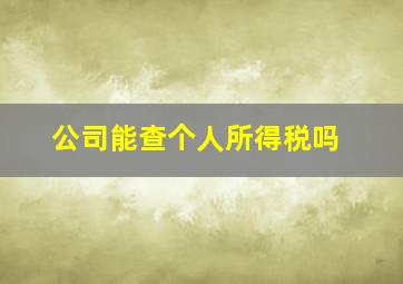 公司能查个人所得税吗