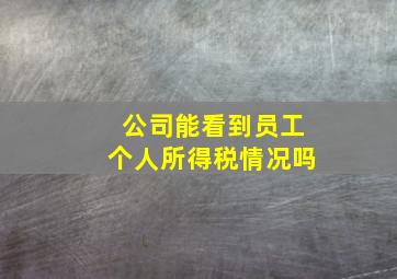 公司能看到员工个人所得税情况吗