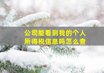 公司能看到我的个人所得税信息吗怎么查