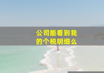 公司能看到我的个税明细么