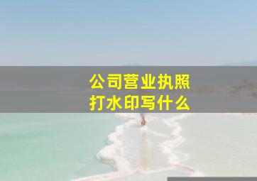 公司营业执照打水印写什么